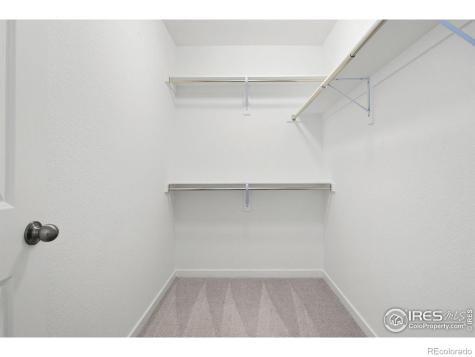 1631 Wright Alley Erie CO 80516