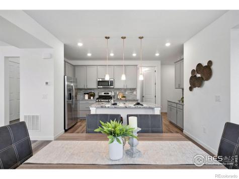 1631 Wright Alley Erie CO 80516