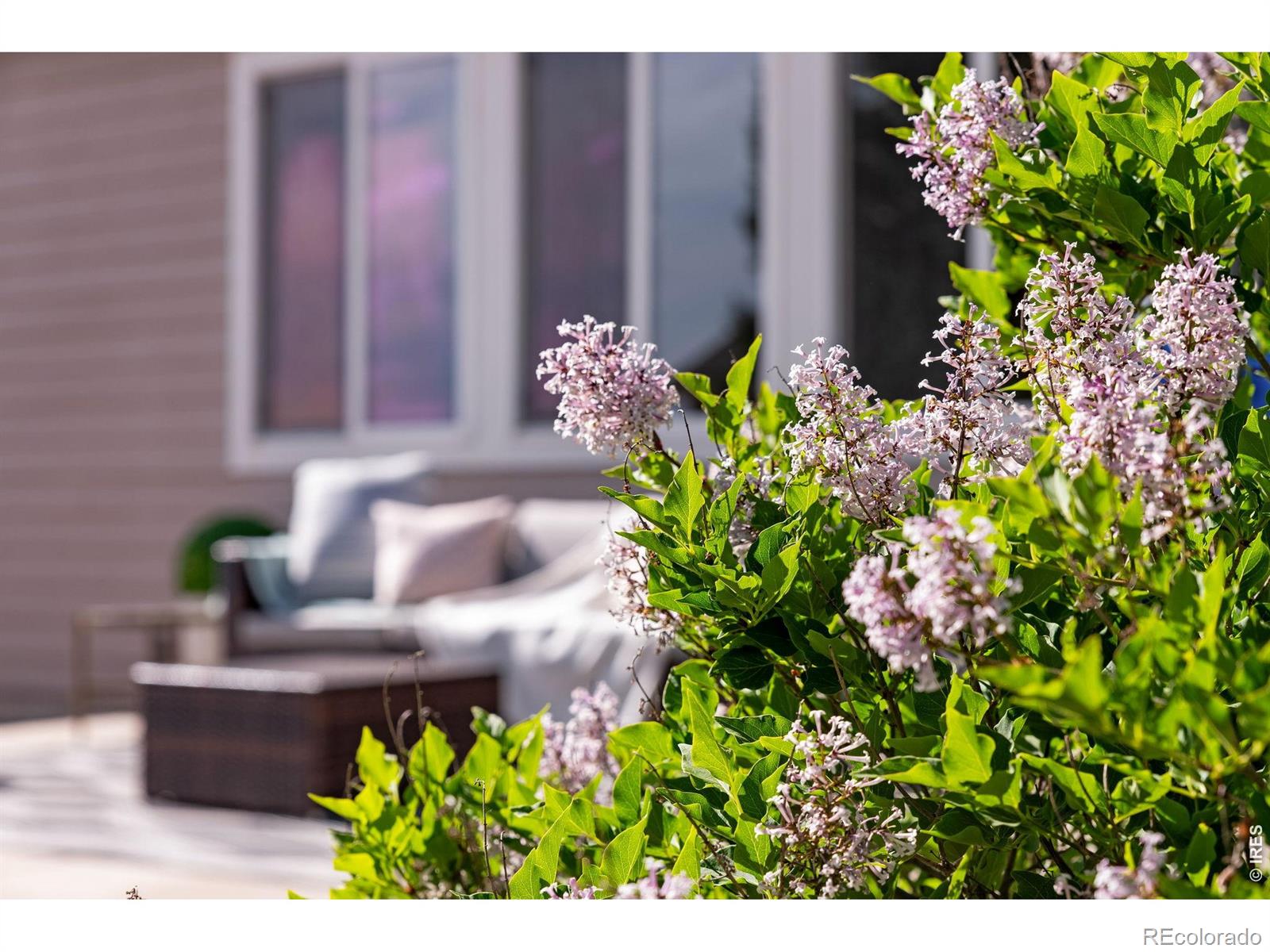 4406 Indigo Drive Severance CO 80550