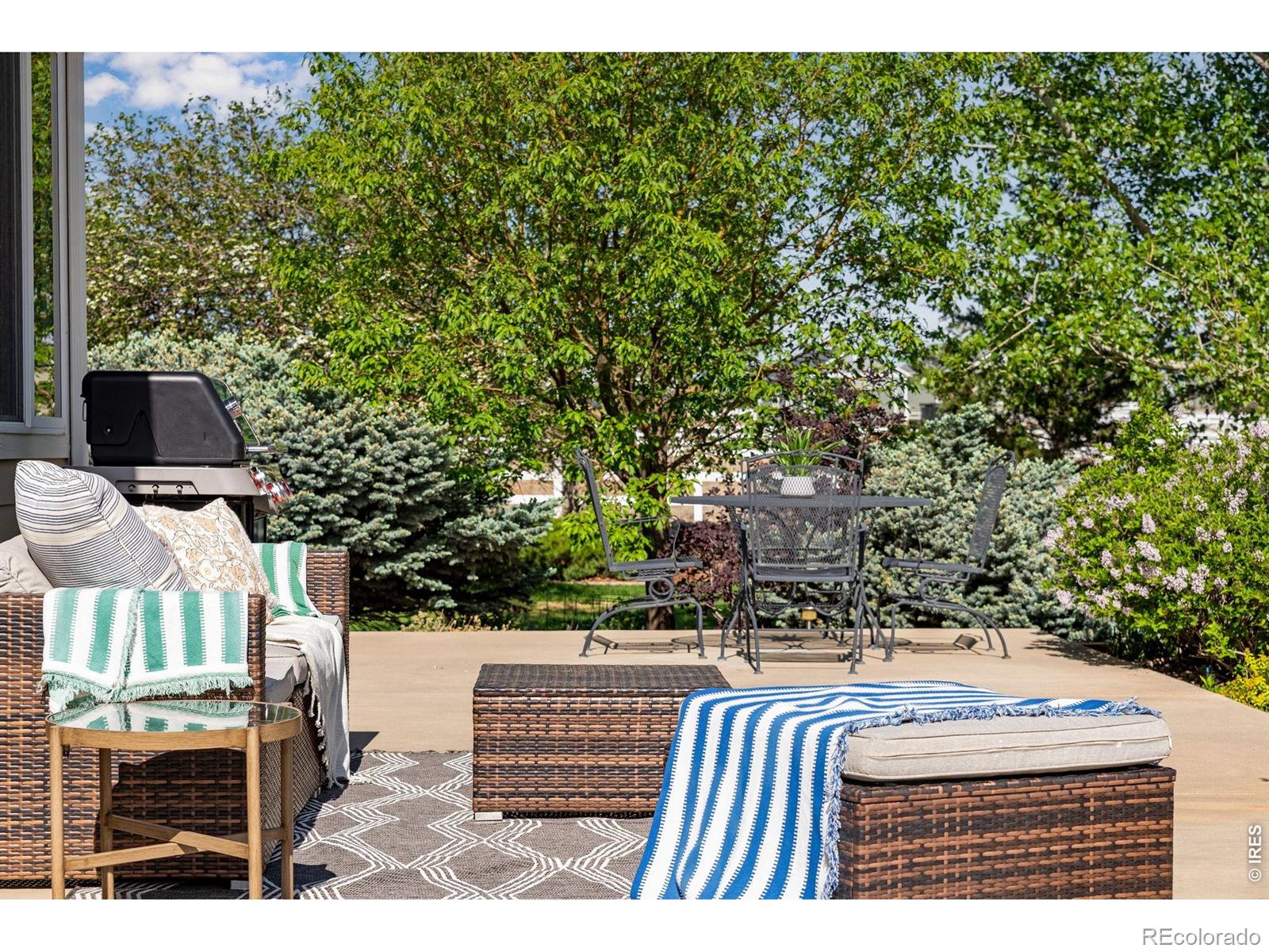 4406 Indigo Drive Severance CO 80550