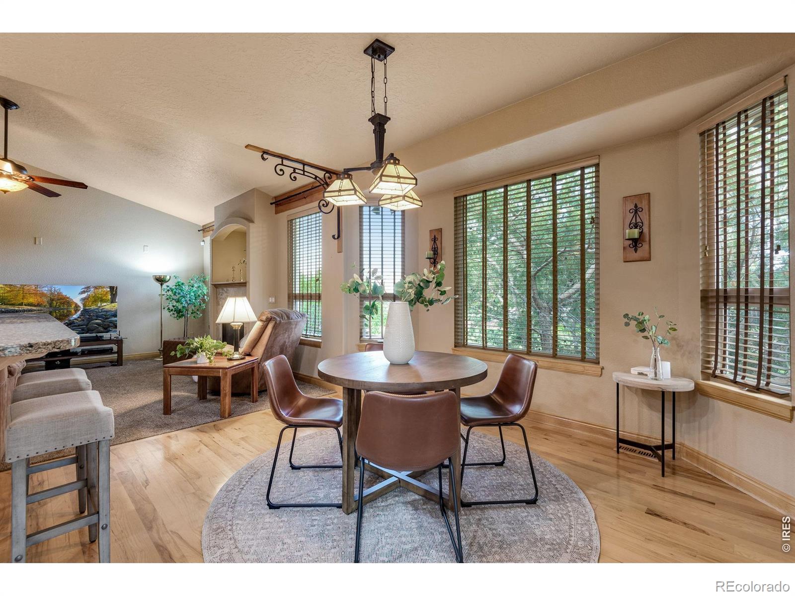 4406 Indigo Drive Severance CO 80550