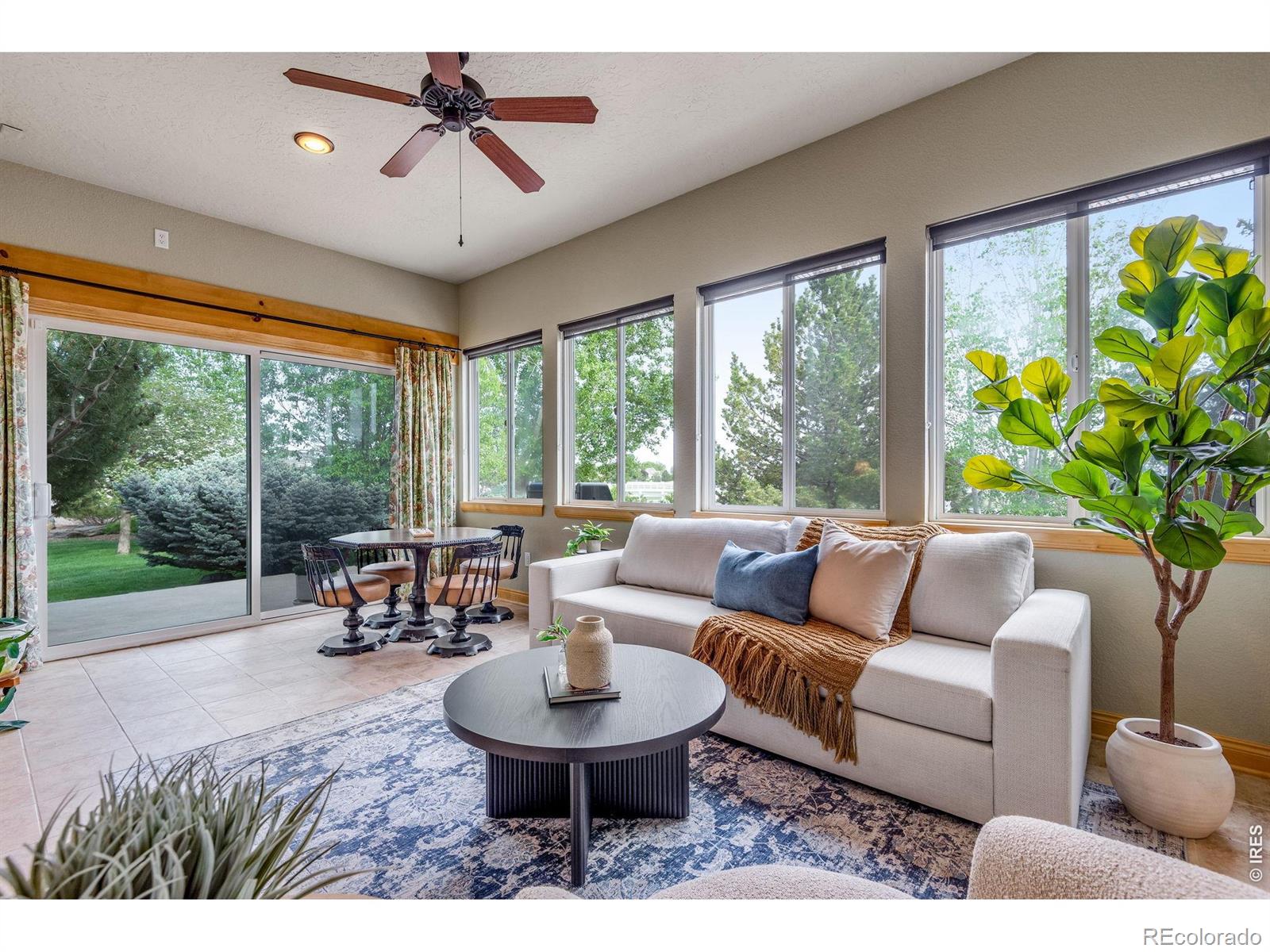 4406 Indigo Drive Severance CO 80550