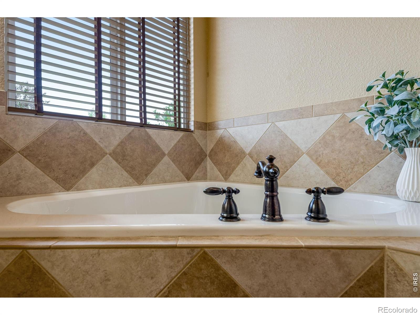 4406 Indigo Drive Severance CO 80550