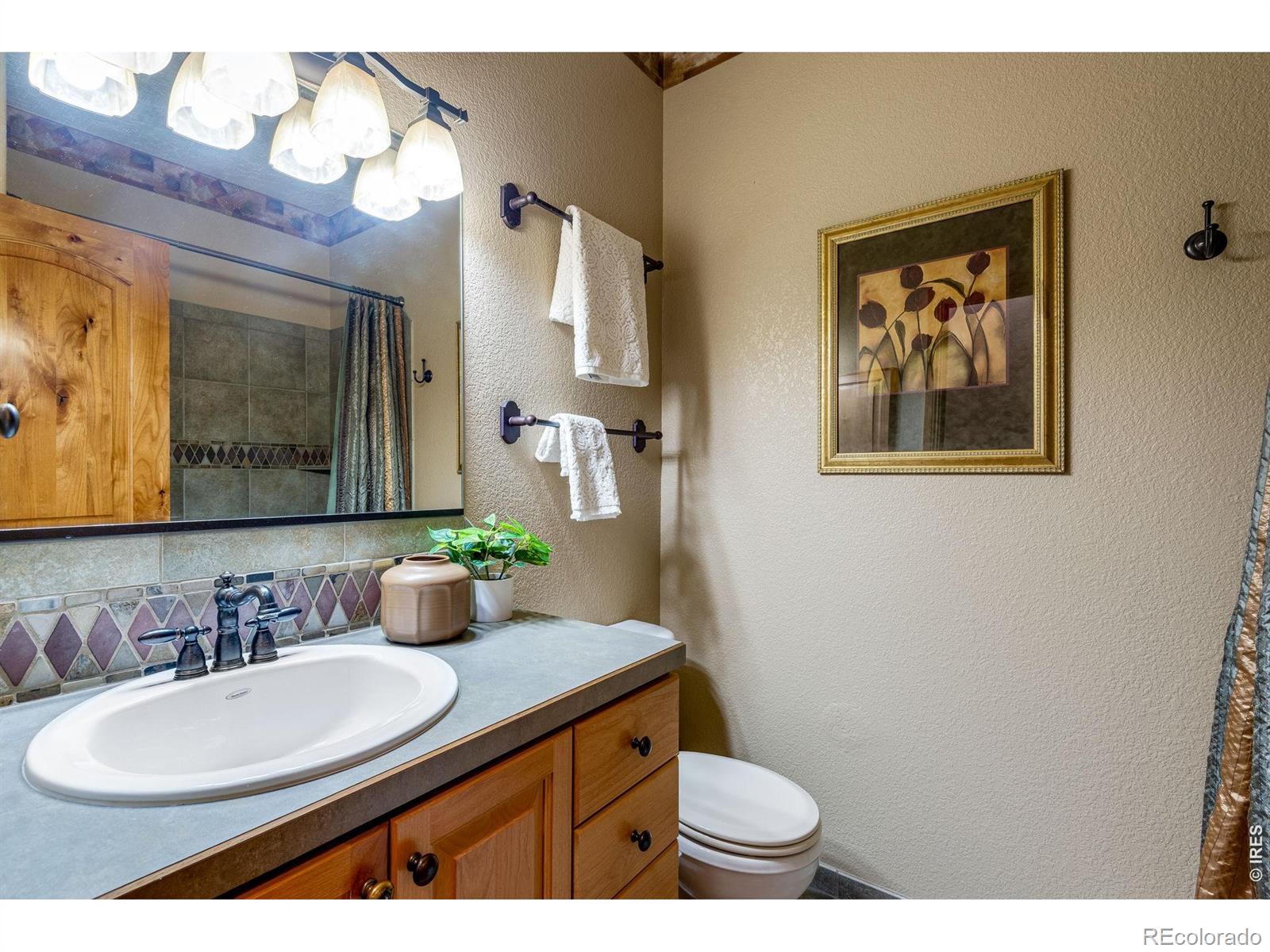 4406 Indigo Drive Severance CO 80550