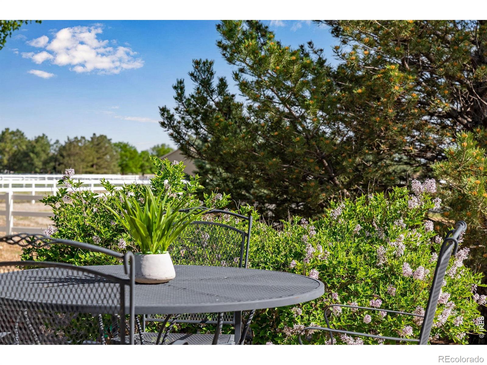 4406 Indigo Drive Severance CO 80550