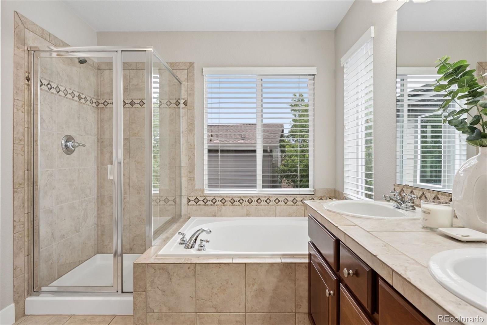 10863 Towerbridge Road Highlands Ranch CO 80130