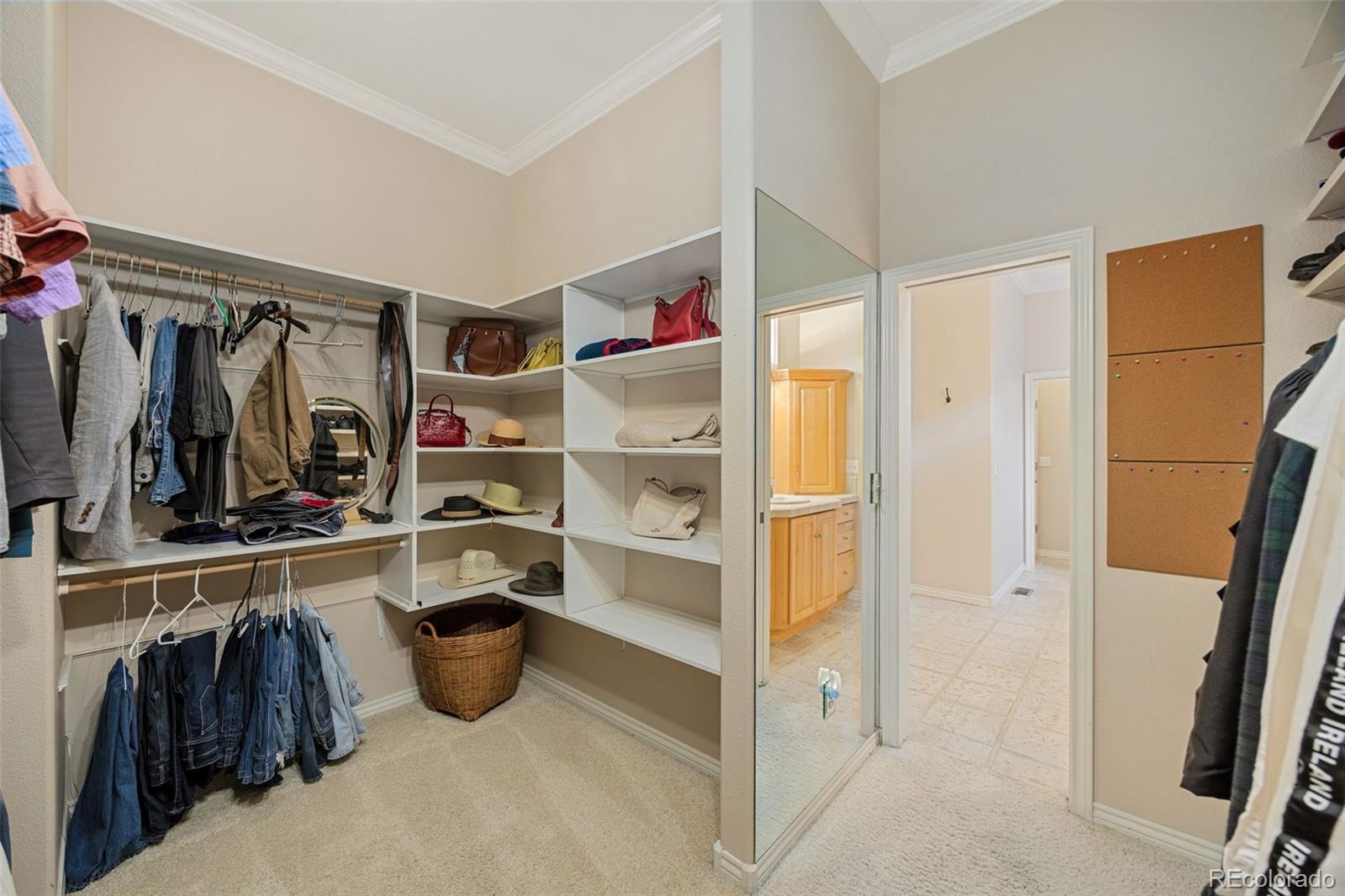 5834 Watson Drive Fort Collins CO 80528