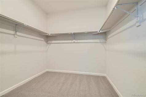 13857 Bunny Hop Lane Parker CO 80134