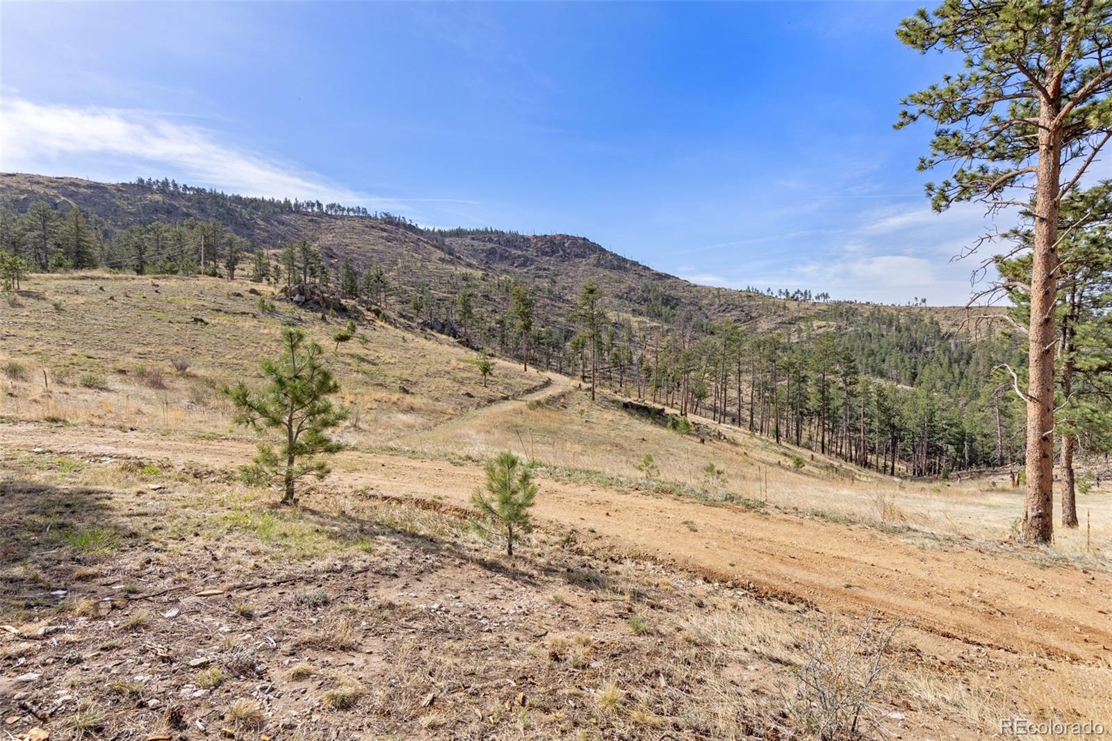 2205 James Park Trail Loveland CO 80537