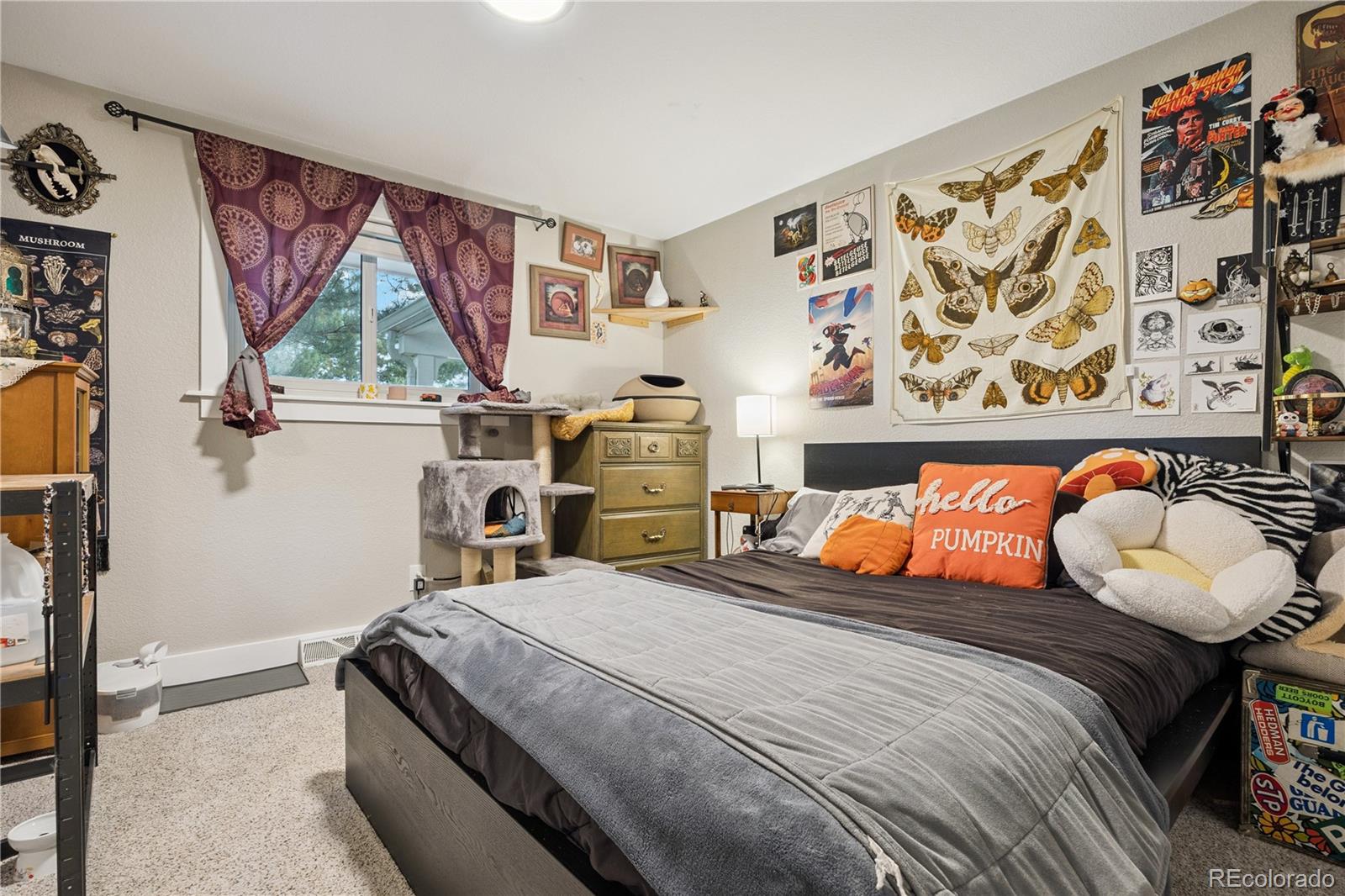 5321 S Nelson Street Littleton CO 80127