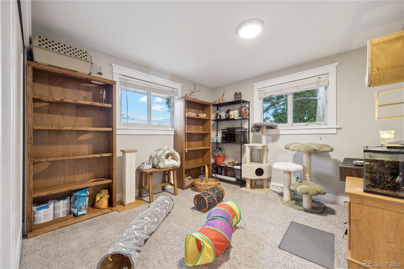 5321 S Nelson Street Littleton CO 80127
