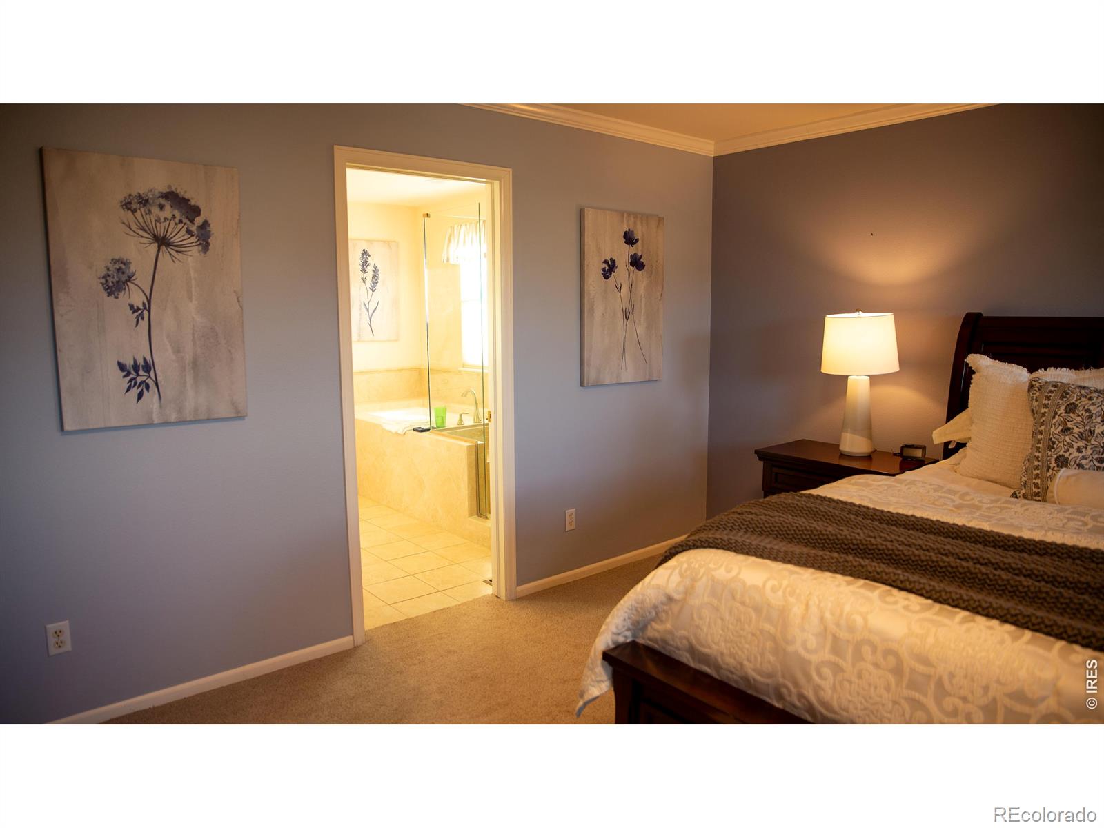 9695 Golden Eagle Place Highlands Ranch CO 80129