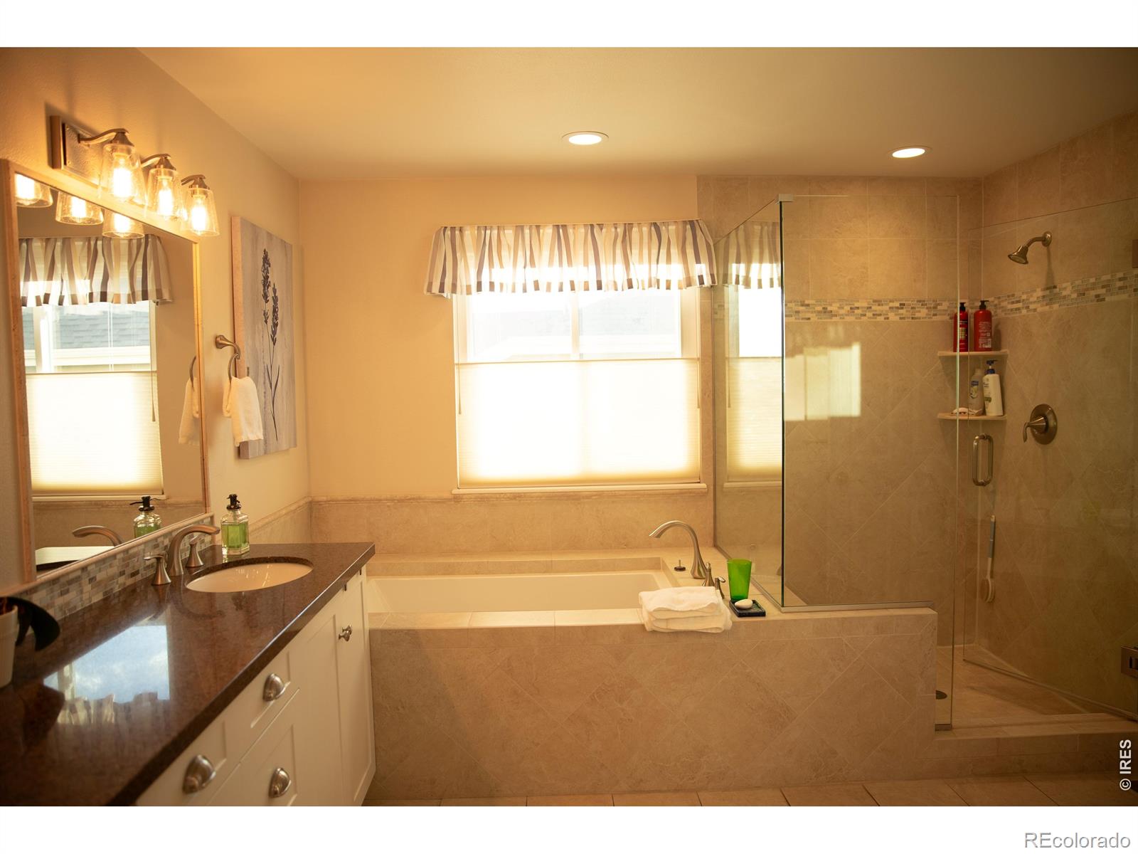 9695 Golden Eagle Place Highlands Ranch CO 80129