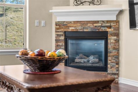 9254 Viaggio Way Highlands Ranch CO 80126