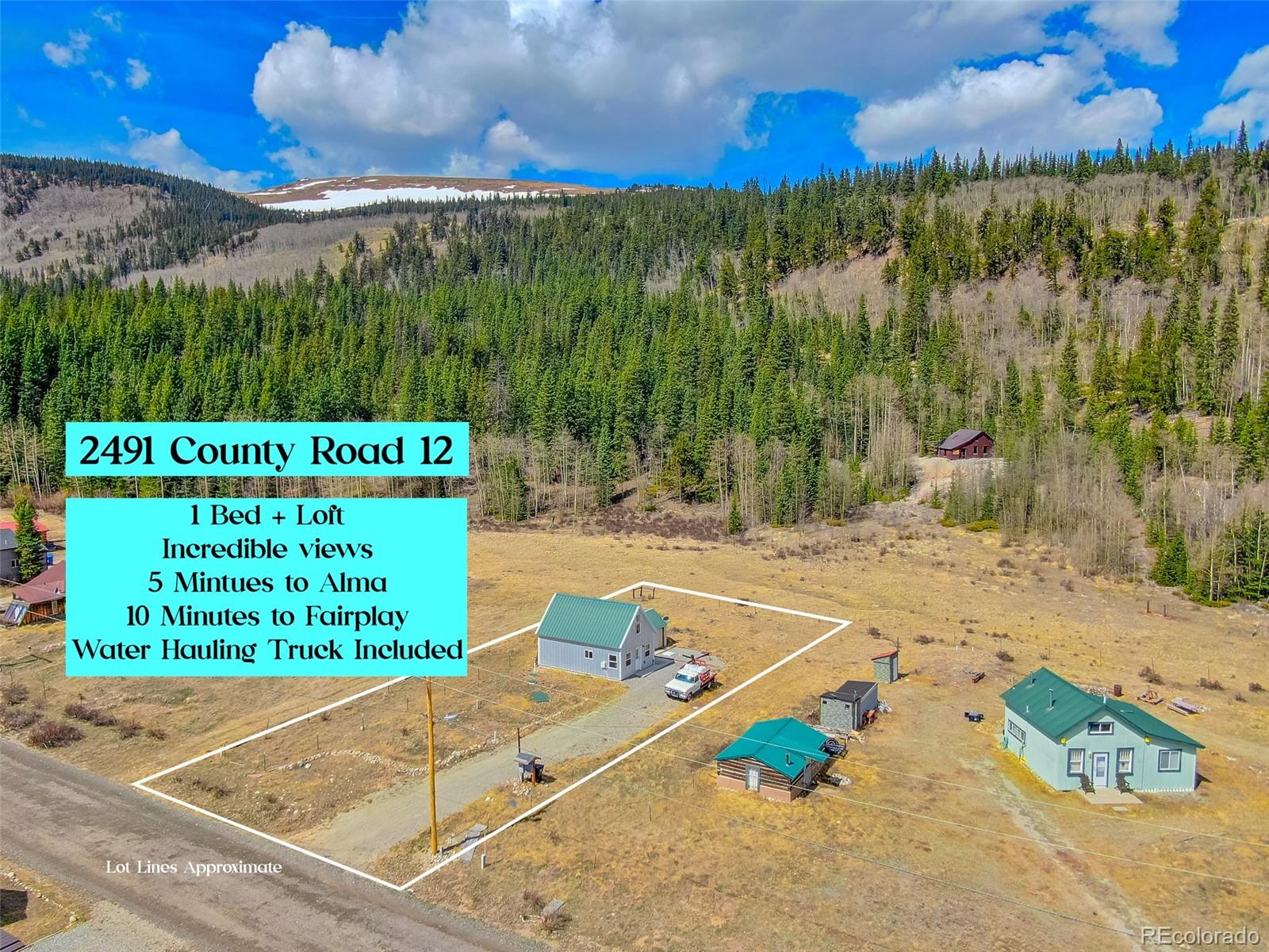 2491 Cr-12 Alma CO 80420