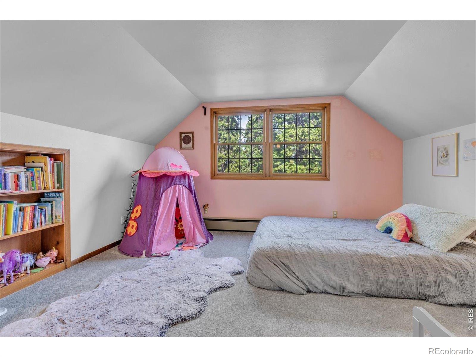 81 Tilghman Road Ward CO 80481