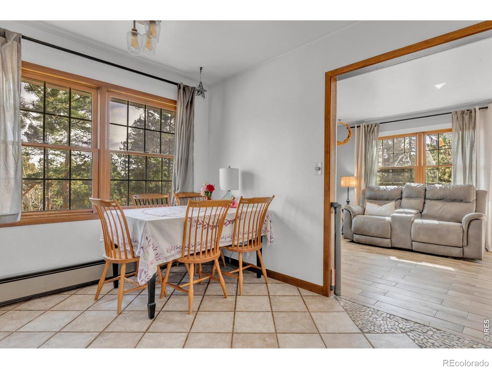 81 Tilghman Road Ward CO 80481