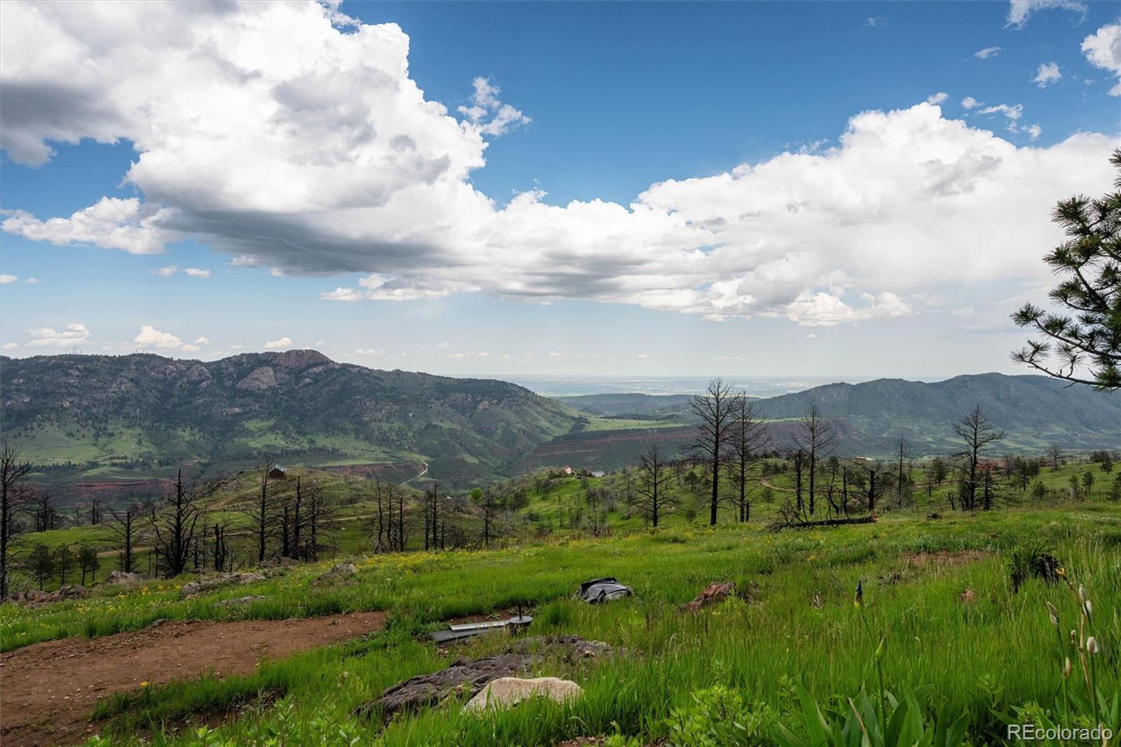 13328 Otter Road Loveland CO 80538