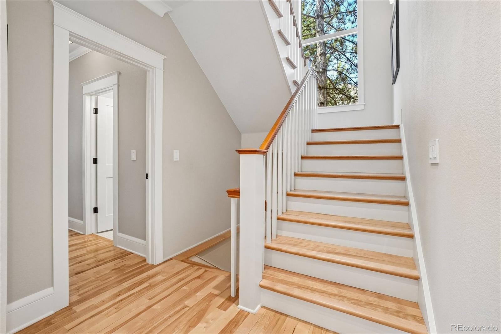 8408 Brittany Place Niwot CO 80503