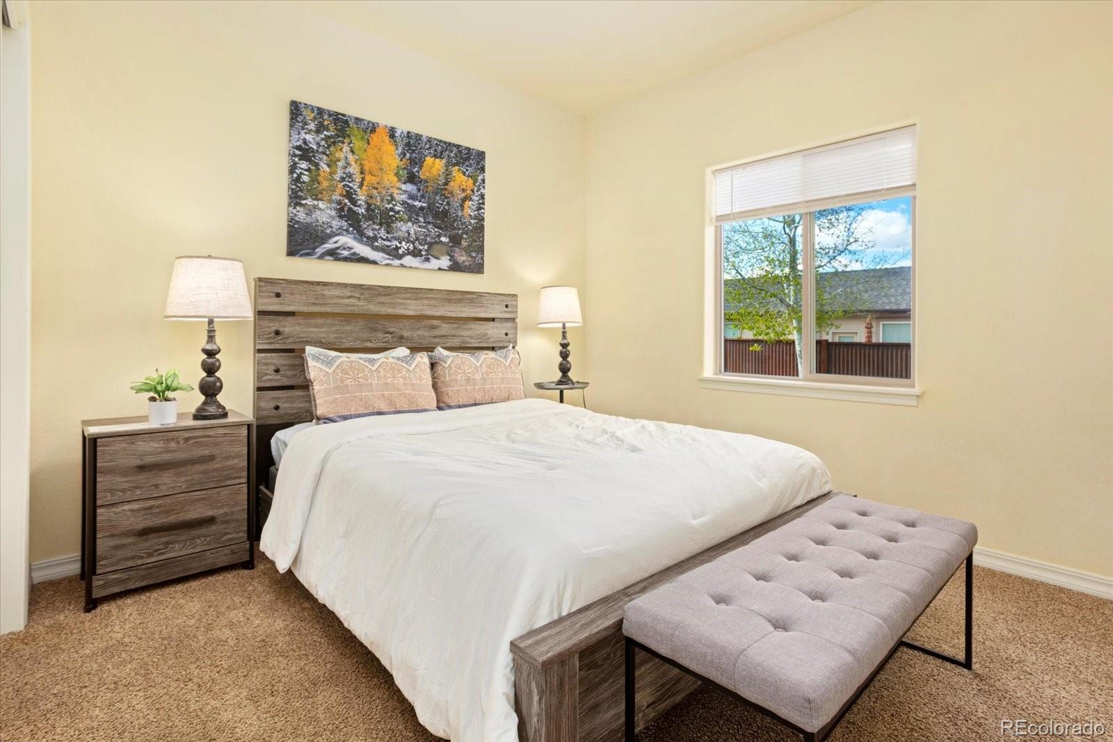 117 Red Tail Boulevard Buena Vista CO 81211