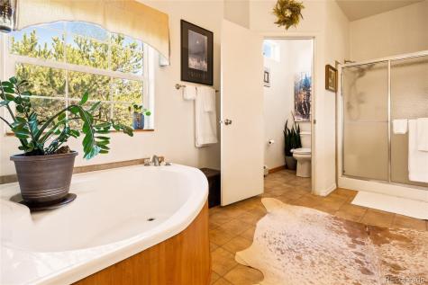3510 Enchanted Way Crestone CO 81131