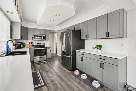 9139 Anasazi Indian Way Highlands Ranch CO 80129