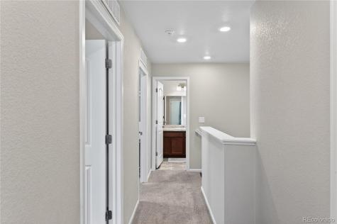 3318 Emily Street Castle Rock CO 80109