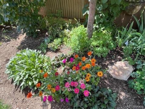 330 Shavano Avenue Salida CO 81201