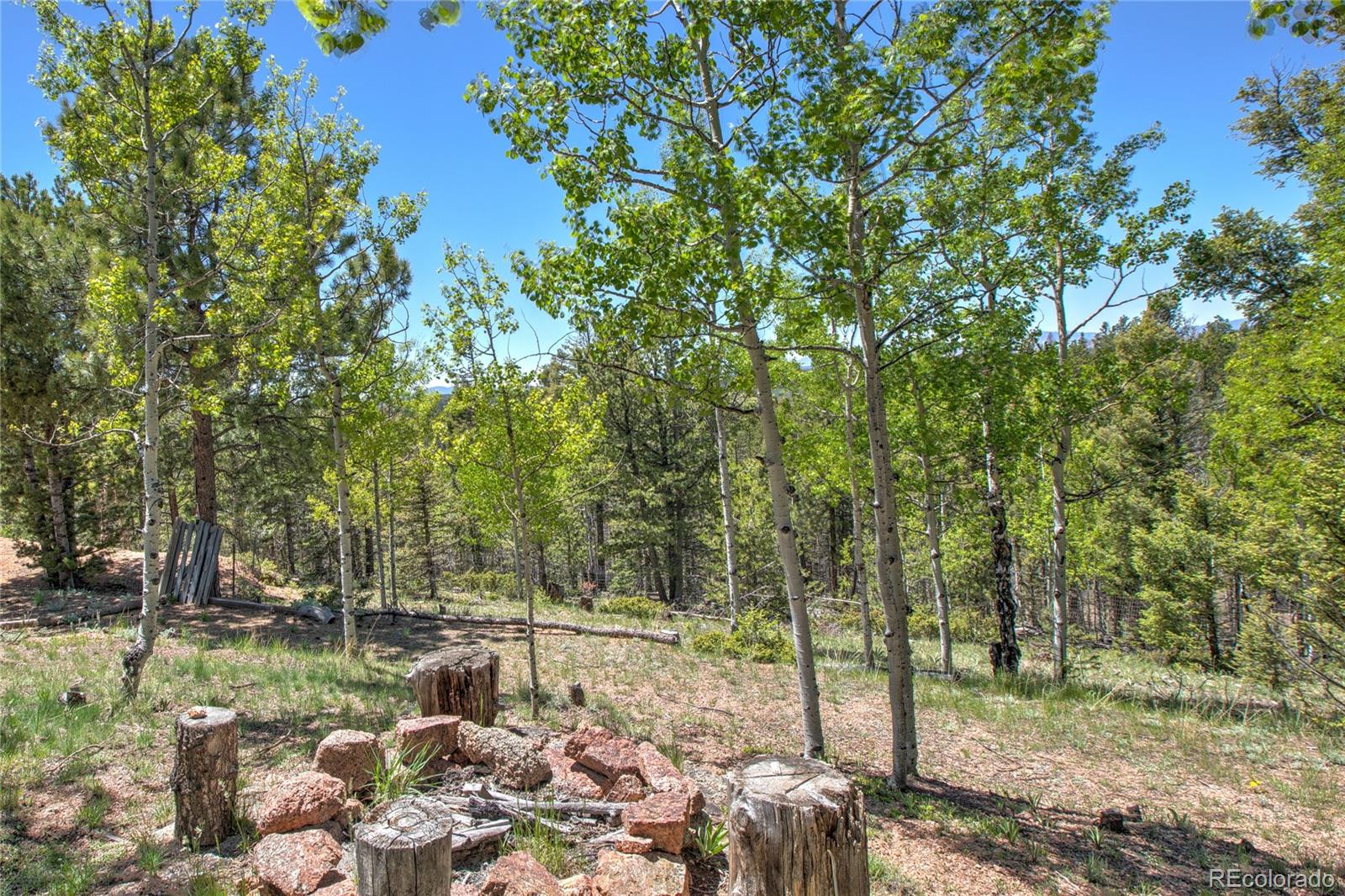 47 Aspen Road Woodland Park CO 80863