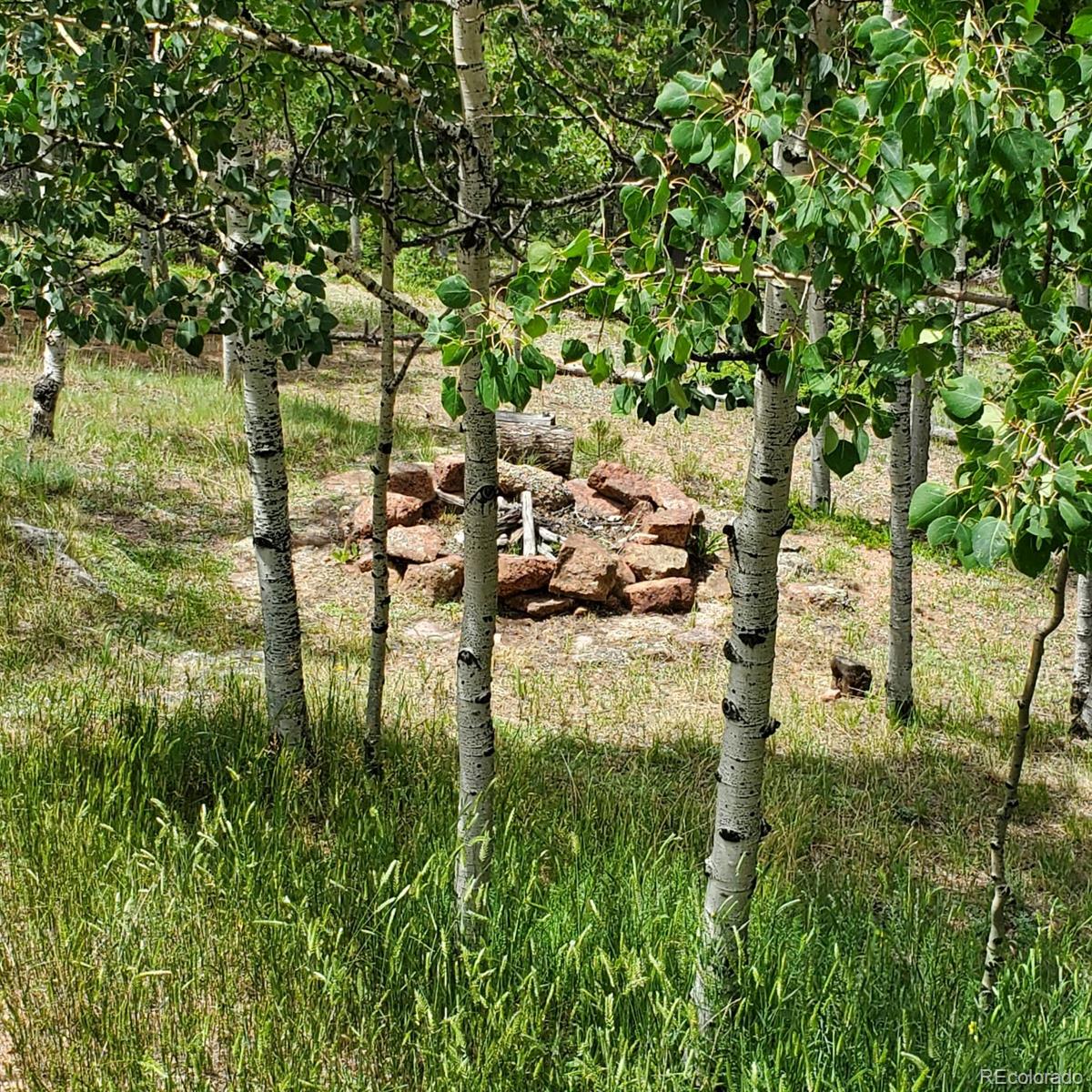 47 Aspen Road Woodland Park CO 80863
