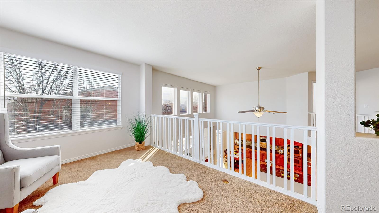 2628 Bay Point Lane Broomfield CO 80023