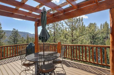 18610 Morrison Creek Circle Buena Vista CO 81211