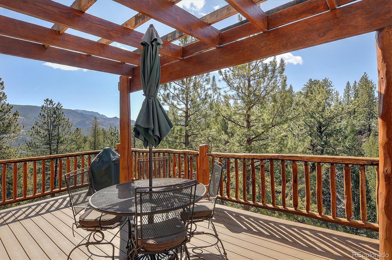 18610 Morrison Creek Circle Buena Vista CO 81211