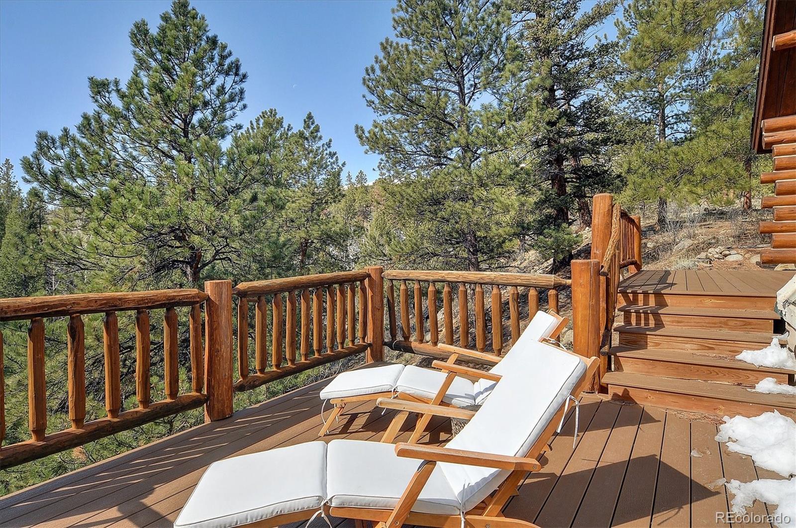18610 Morrison Creek Circle Buena Vista CO 81211