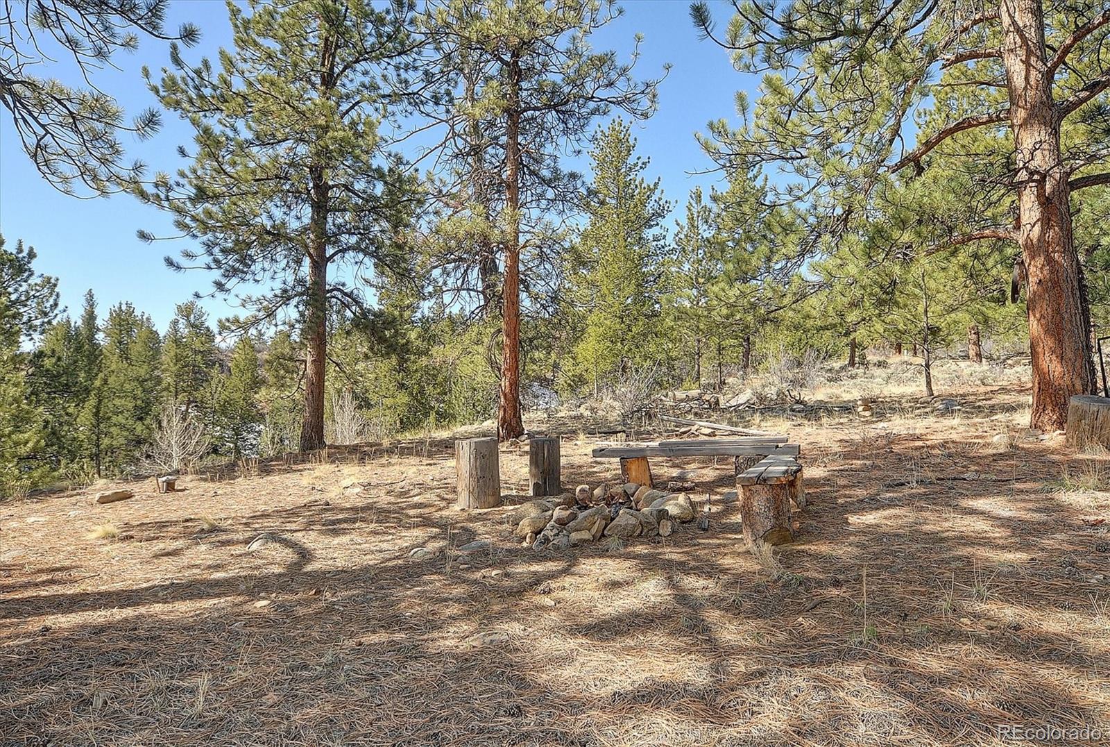 18610 Morrison Creek Circle Buena Vista CO 81211