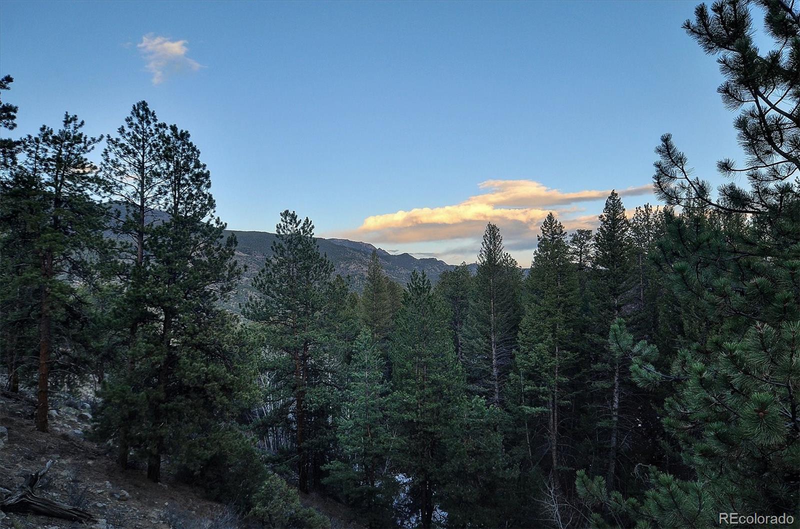 18610 Morrison Creek Circle Buena Vista CO 81211