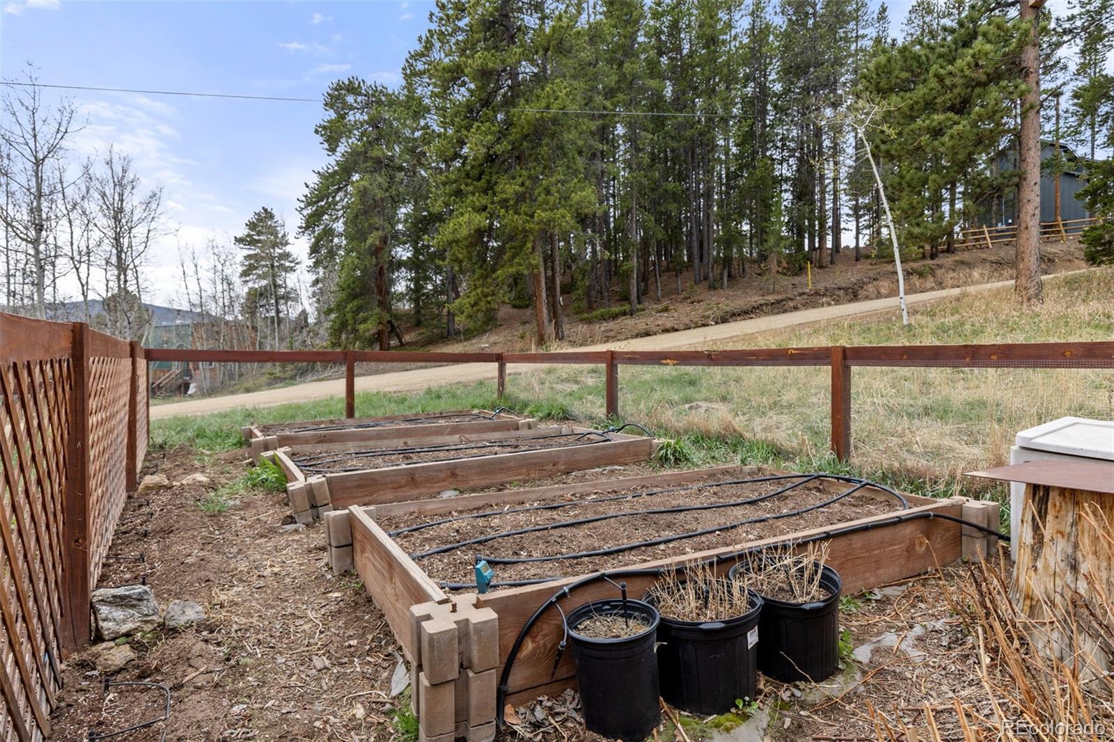 307 Dudes Drive Rollinsville CO 80474