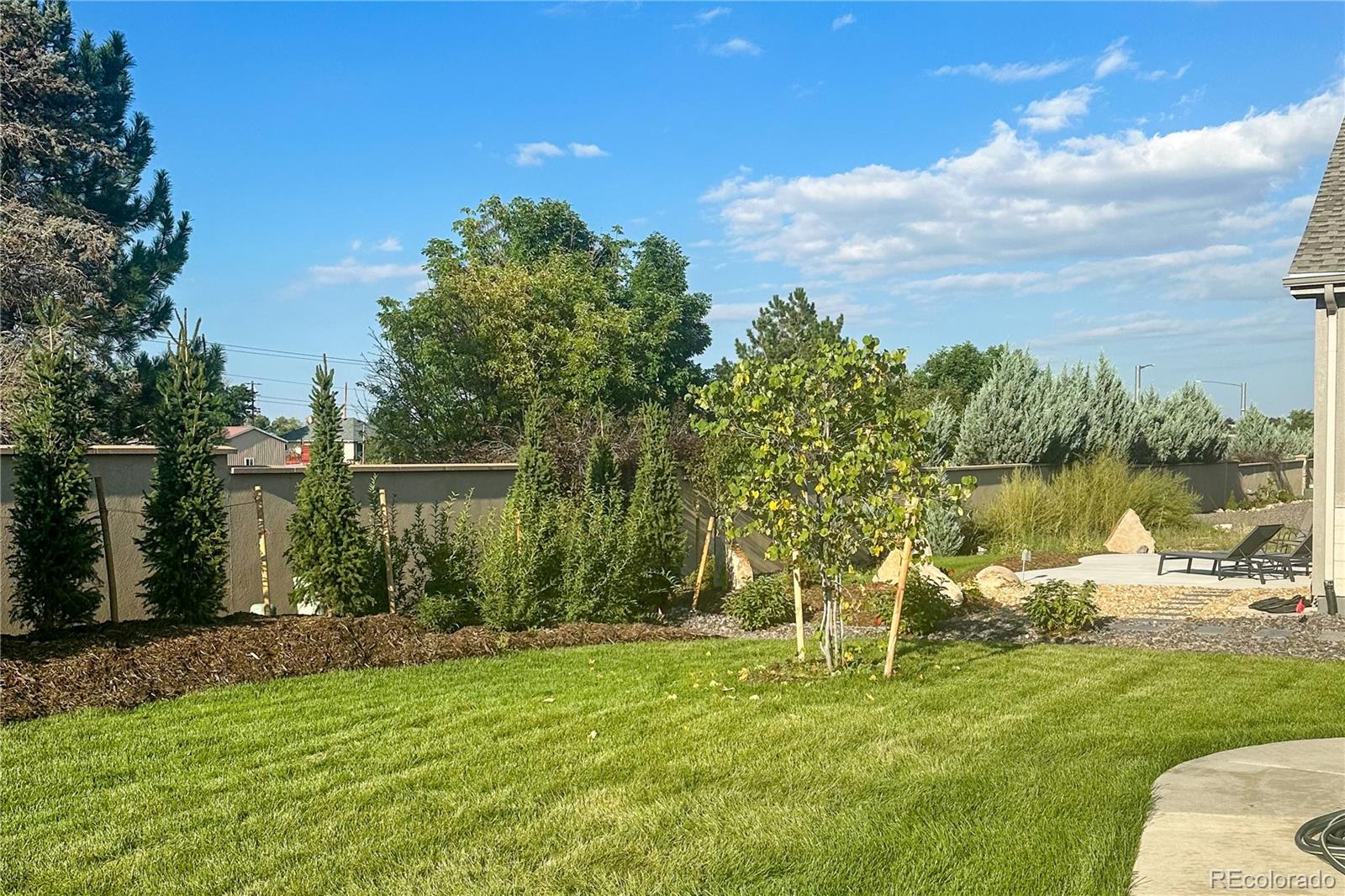 15919 Xanthia Way Thornton CO 80602