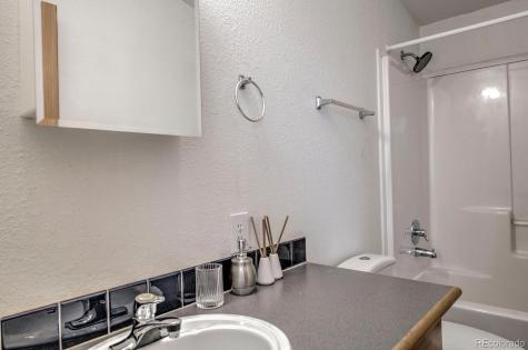 492 Kimmes Lane Breckenridge CO 80424