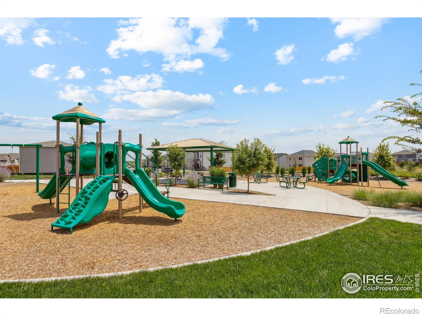 966 Cascade Falls Street Severance CO 80550