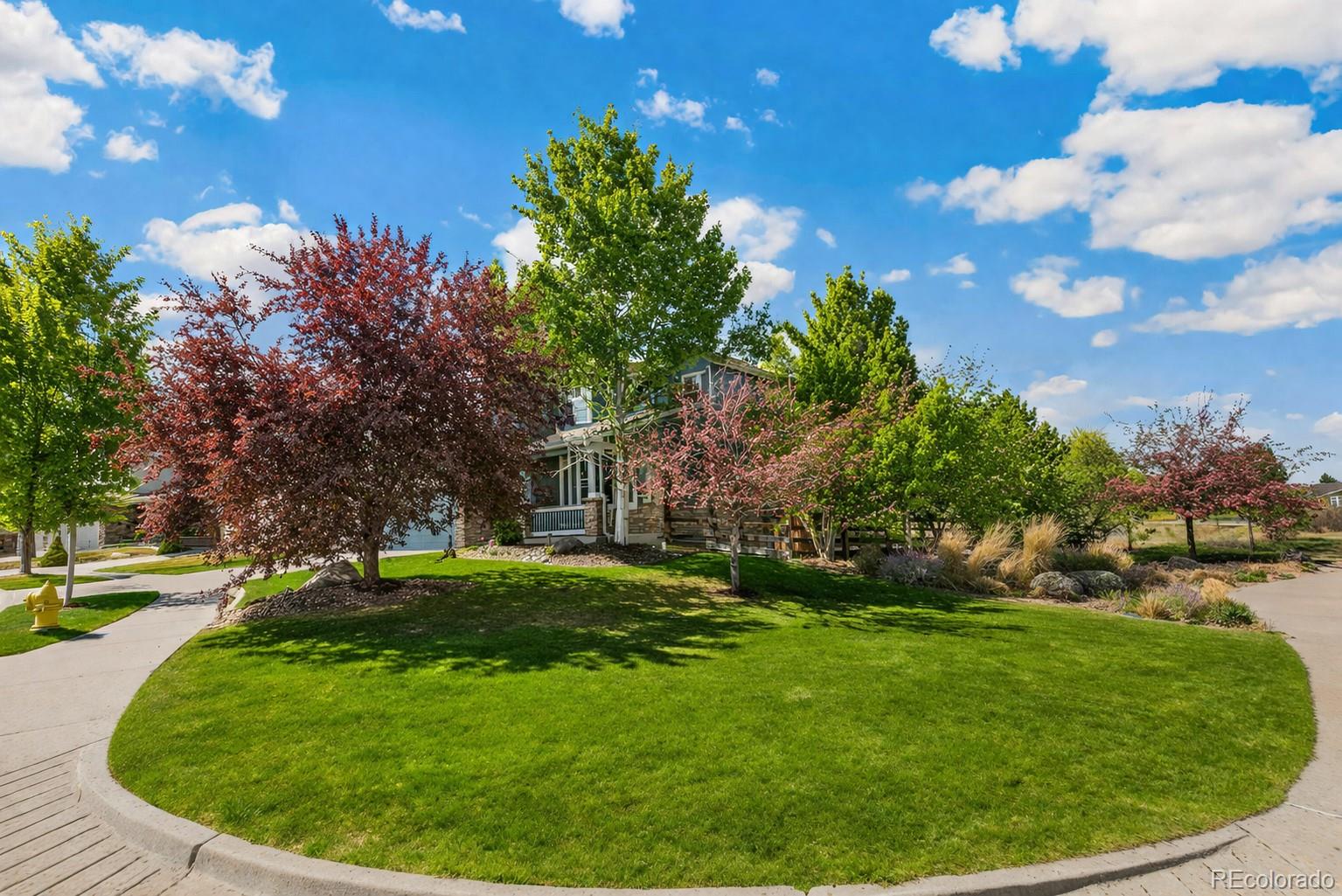 8797 Gardenia Circle Arvada CO 80005