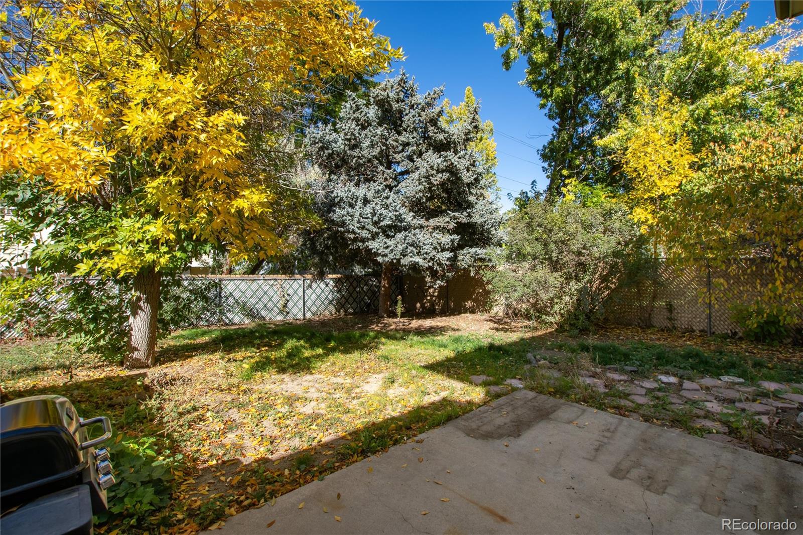 1157 S Everett Street Lakewood CO 80232