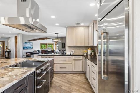 6166 S Netherland Circle Centennial CO 80016