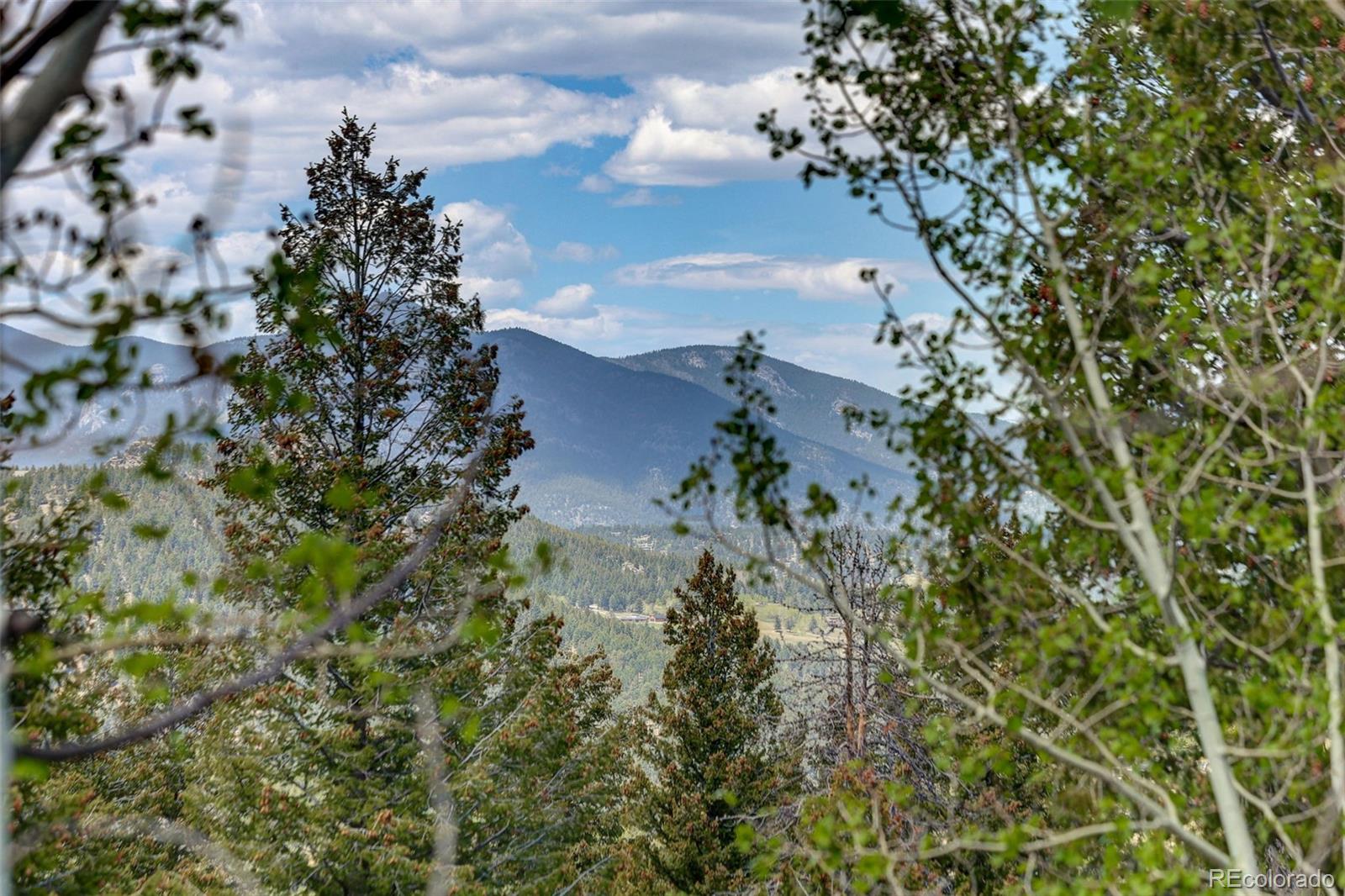 7765 Swaps Trail Evergreen CO 80439
