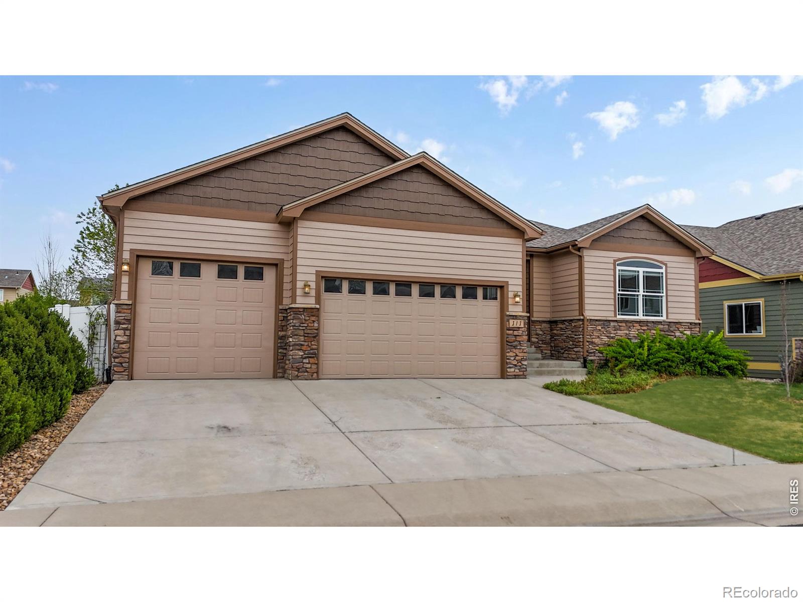 313 Telluride Drive Windsor CO 80550