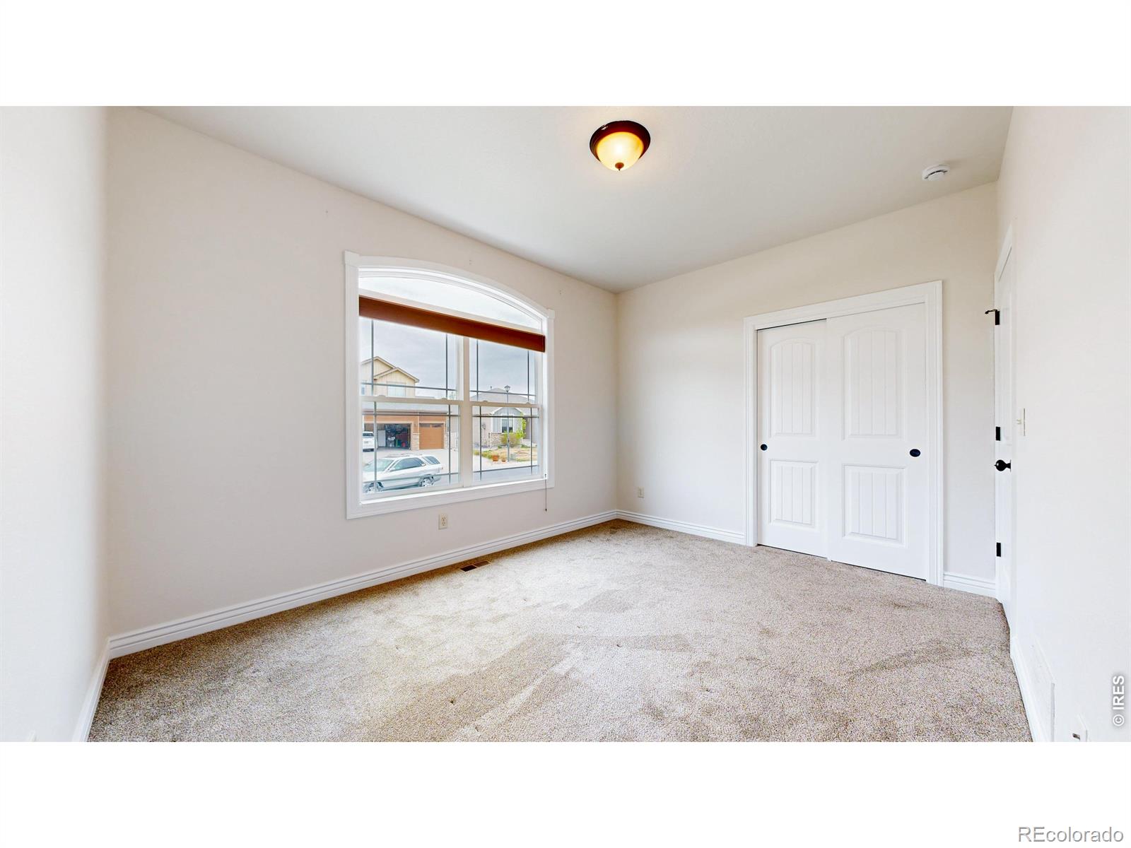 313 Telluride Drive Windsor CO 80550