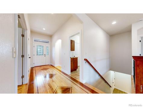 313 Telluride Drive Windsor CO 80550