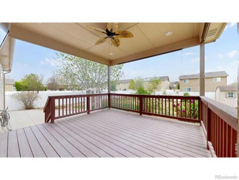 313 Telluride Drive Windsor CO 80550