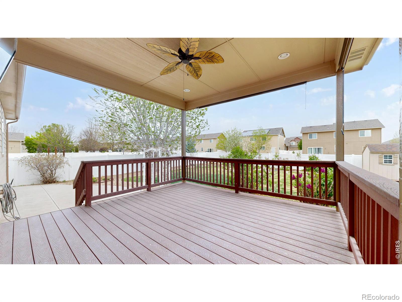 313 Telluride Drive Windsor CO 80550