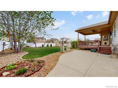 313 Telluride Drive Windsor CO 80550